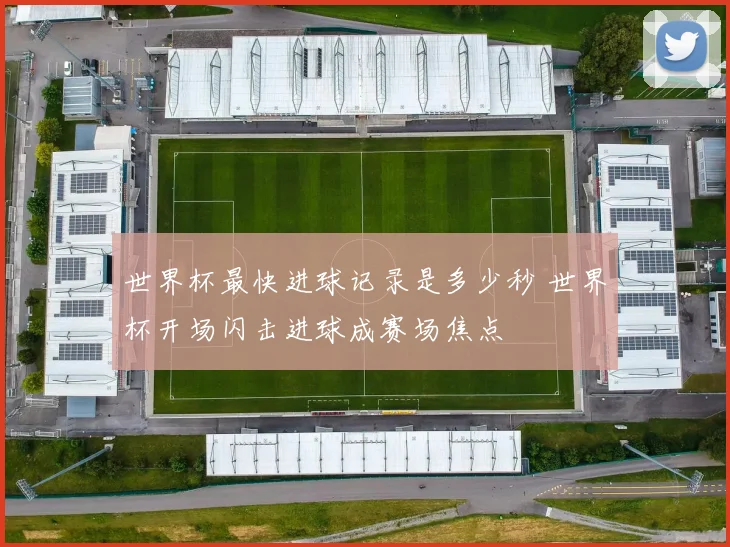 世界杯最快进球记录是多少秒 世界杯开场闪击进球成赛场焦点